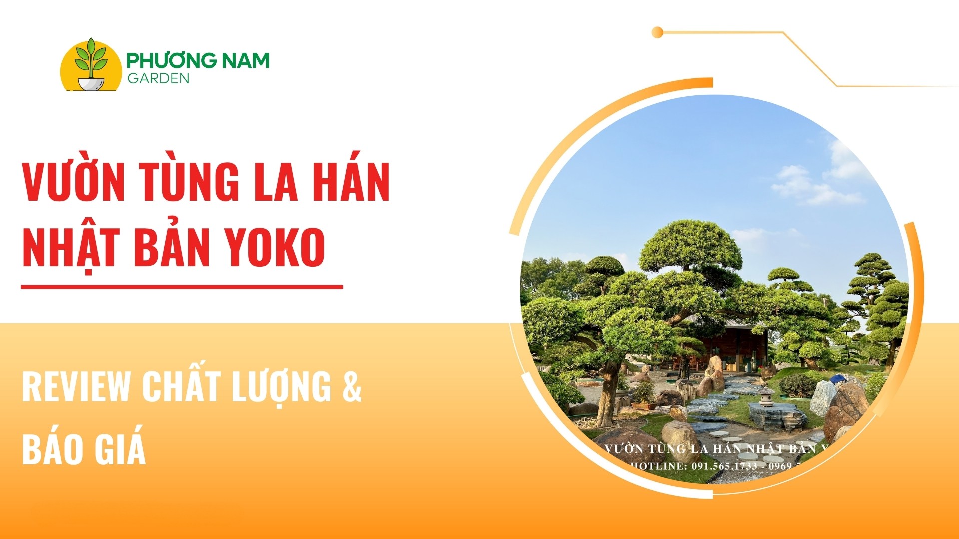 Vườn Tùng La Hán Nhật Bản Yoko