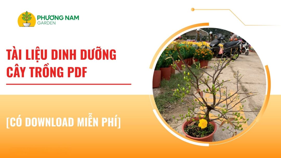 dinh dưỡng cây trồng pdf