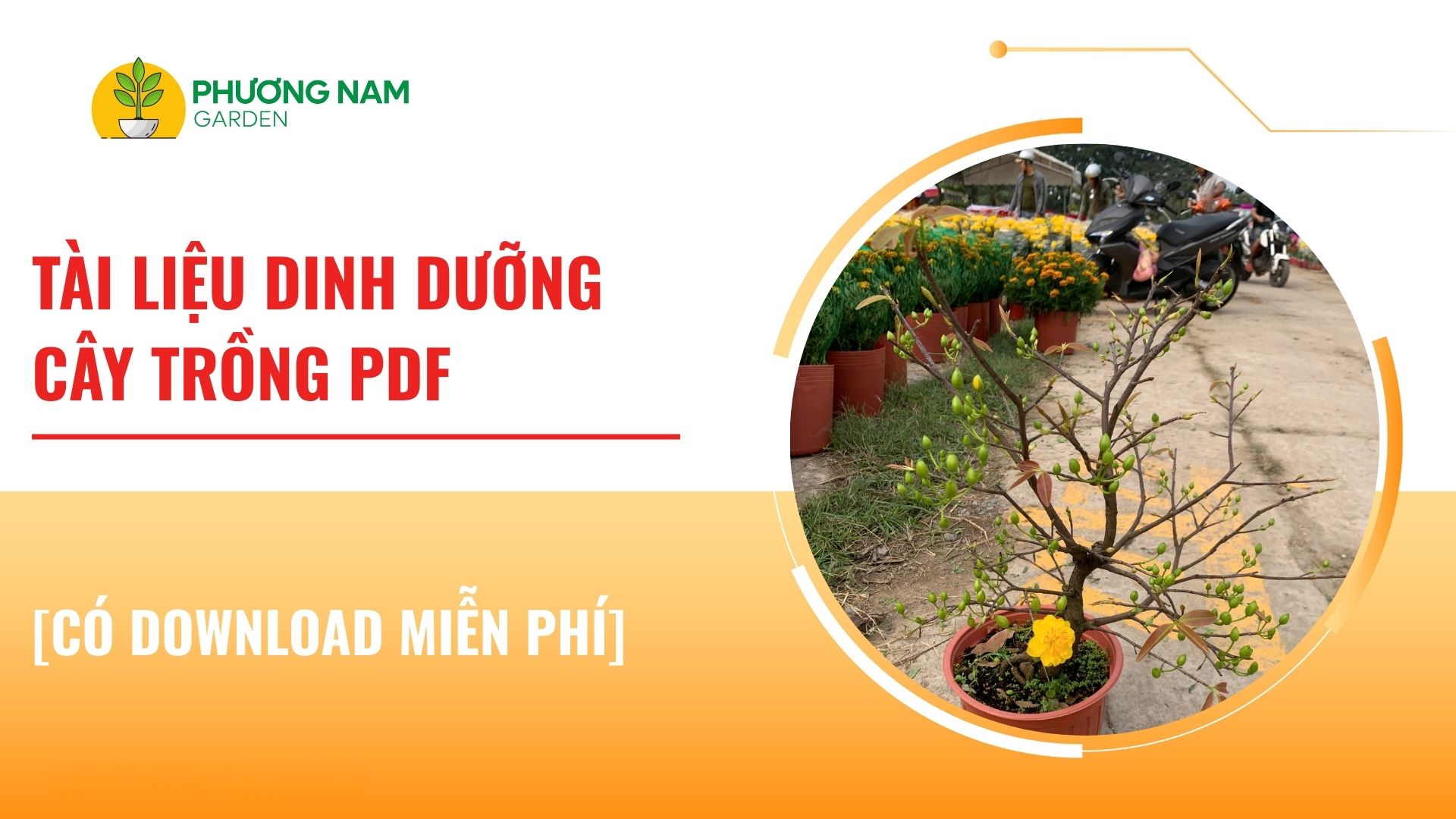 dinh dưỡng cây trồng pdf